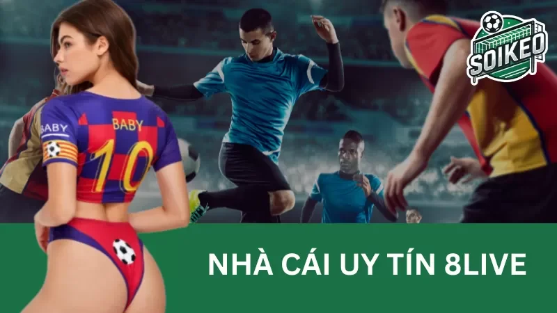 Giới thiệu 8Live - Nhà cái cá cược chất lượng hàng đầu năm 2024