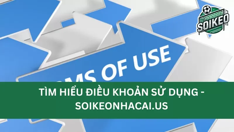 điều khoản sử dụng web Soikeonhacai.news