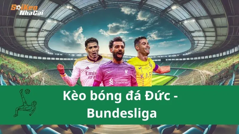 Kèo Bóng Đá Đức - Bundesliga