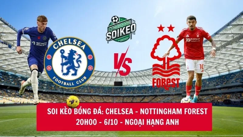 Soi kèo nhà cái Chelsea vs Nottingham Forest 20h00 – 06/10 – Ngoại hạng Anh