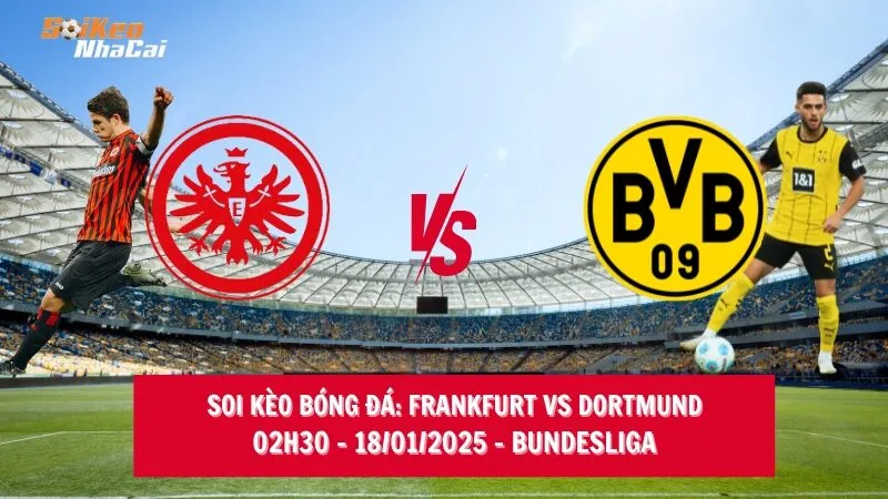 Soi kèo nhà cái Frankfurt vs Dortmund – 02h30 – 18/01/2025 – Bundesliga