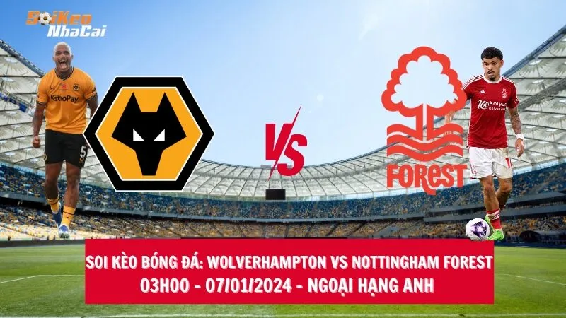 Soi kèo nhà cái Wolverhampton vs Nottingham Forest – 03h00 – 07/01/2024 – Ngoại hạng Anh